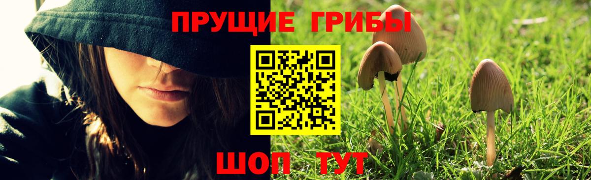 даркнет сайт  Вход с VPN  Осинники  Галлюциногенные грибы мухоморы  Псилоцибиновые грибы GOLDEN TEACHER 